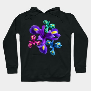 Irises, iris, iris flowers, petals, floral, flower Hoodie